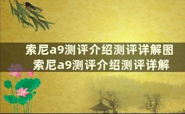 索尼a9测评介绍测评详解图 索尼a9测评介绍测评详解